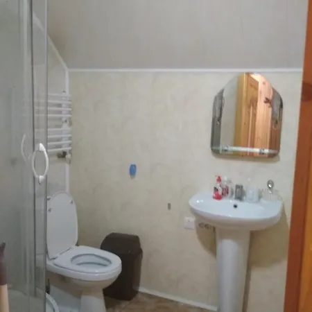 Motell Гуцульська Скриня Iltsi