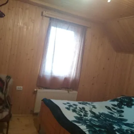 Гуцульська Скриня Iltsi